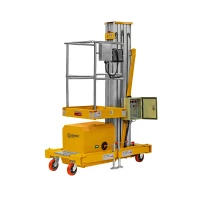 Подъемник одномачтовый GTWY 10-100 (AC&DC, 125 кг, 10 м) SMARTLIFT (SMART) HV Market