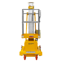 Подъемник одномачтовый GTWY 8-100 (AC&DC, 125 кг, 8 м) SMARTLIFT (SMART) HV Market