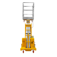 Подъемник двухмачтовый GTWY 10-200S (AC&DC, 200 кг, 10 м) SMARTLIFT (SMART) HV Market